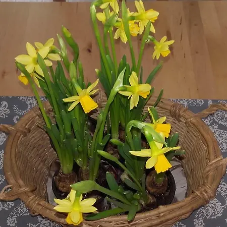 Ferienhaus El Robledo Colombres